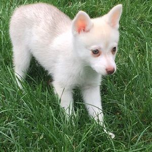 Meet your Posher, Valerie